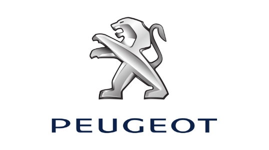 Peugeot Servisi